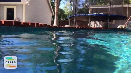 WATER FUN WITH CATALYST WATERPROOF IPHONE6 CASE!