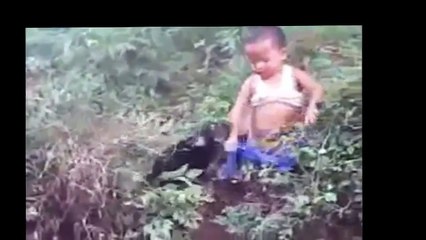My Funny and dogs and kids compilation 2015[ dog pulls kids]