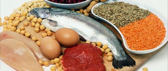 High Protein Foods For Weight Loss