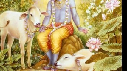 Krishna Krishna Mukunda Janardhana