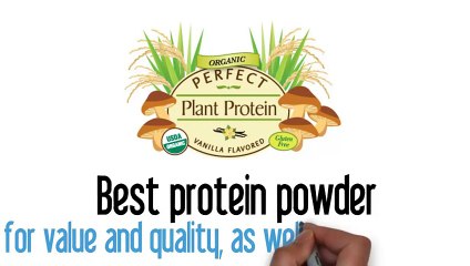 The Best Protein Powder For Protein Shakes