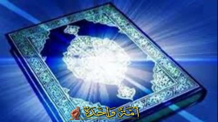 شاهد كلمة الشيخ الشعراوي عن مصر كاملة والتي اجتزئها التلفزيون المصري