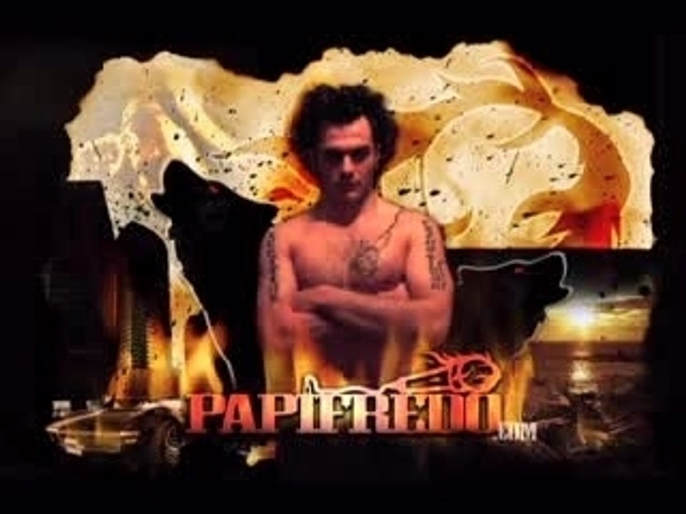 PAPIFREDO (studio bleu)