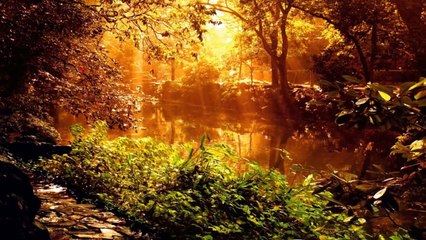 Bach Suite pour Orchestre n°3 Sarabande