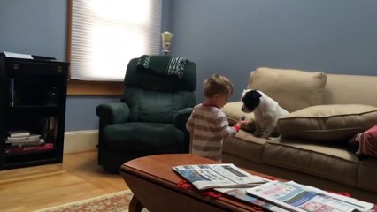 Dog Won't Fetch but His Boy Still Loves Him