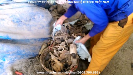 Máy nghiền móng bò, sừng trâu, phế liệu cứng-HITECH-0908790686