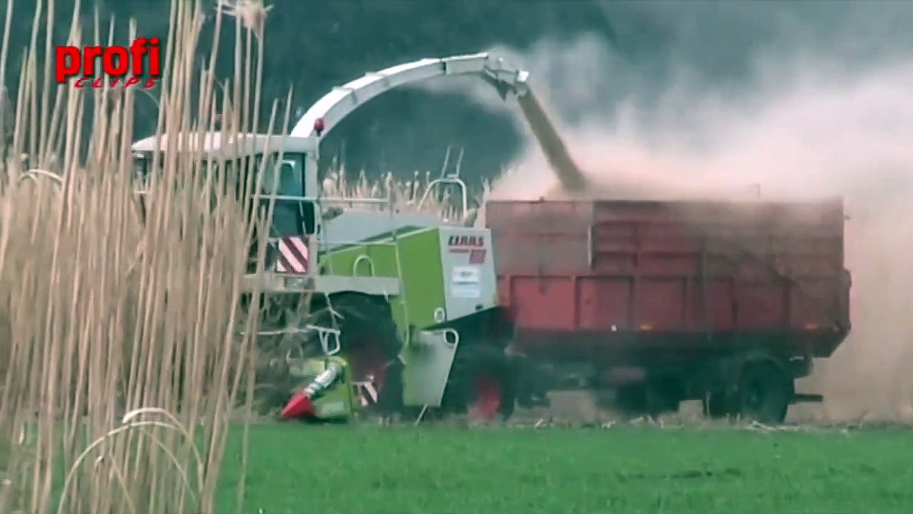 Miscanthus-Ernte