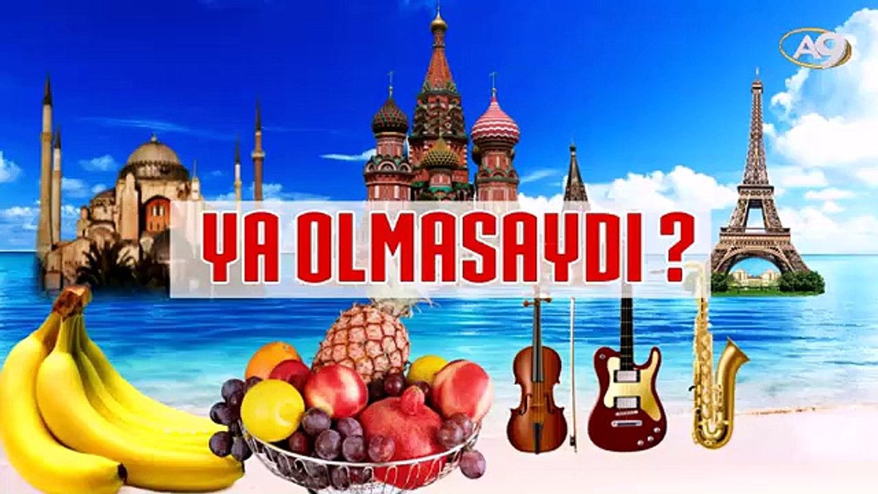 Ya Olmasaydı? 5 - Baykuşlar, Penguenler, Ayılar ve Rakunlar / Darıca Hayvanat Bahçesi