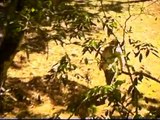 Video Lago de Yojoa, Corazon de Honduras,  Guillermo Anderson