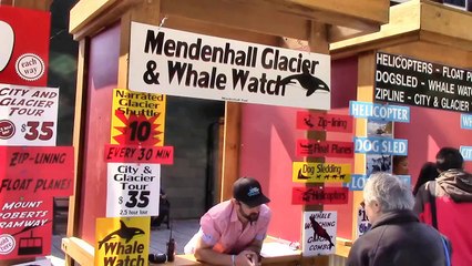 Travel Agent phoenix all inclusive Alaska vacation