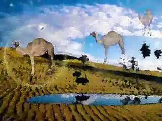 FERNANDO DELGADILLO (sol de mediodia)