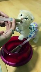 Feeding time, so cute