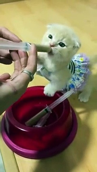 Feeding time, so cute