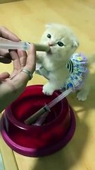 Feeding time, so cute