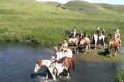 Sask Paint Horse Club - swimming with their horses at June 30, 2012 Trail Ride