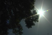 Precauciones que deberemos tomar este verano