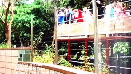 PBS Kids Program Break (2015 KPBS)