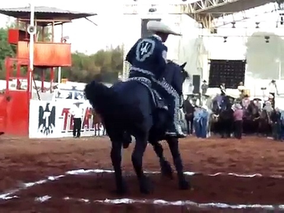 Caballos Bailadores en Guadalajara, Jalisco