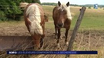 Dans le Doubs, les éleveurs s'inquiètent de la sécheresse