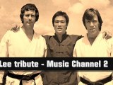 Bruce Lee tribute 2015 - training motivation video