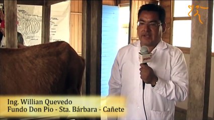 Sala de Ordeño, Planta de Lácteos y Productos elaborados con leche de cabra