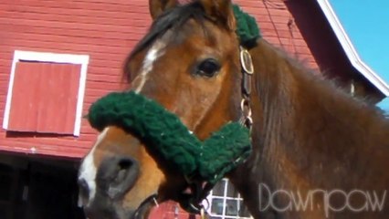 ☆ All My Life ☆ I've Been Waiting For ☆