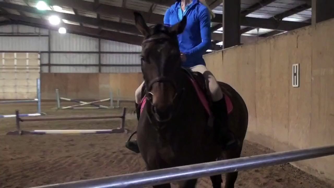 Lesson Clips 3.29.15
