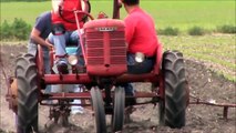 Farmall B tractor  planting corn with 249 McCormick 2 row planter