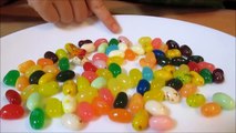 Jelly Belly? アメリカで人気のグミ❤食べてみました／We tried to eat gummy popular in the United States