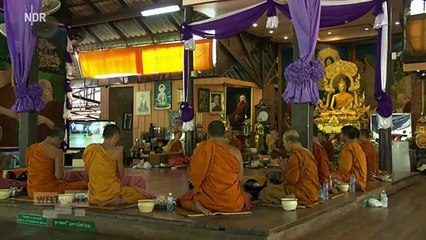Thailand: Quälerei im Tiger-Tempel? | Weltbilder | NDR