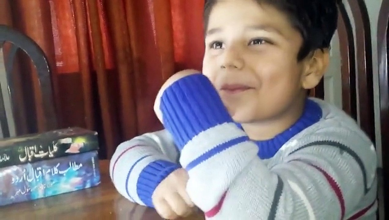 Shaheen of Iqbal Zidaan Ahmed Slams Anti Iqbal Media