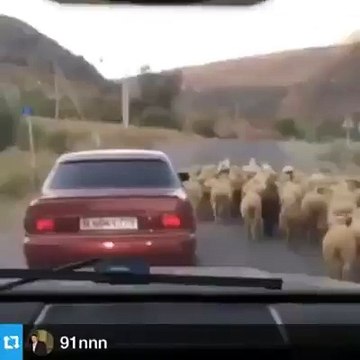 VID-20150712-WA0000.mp4