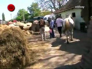 Betti és Kata ( Betti a várandós )