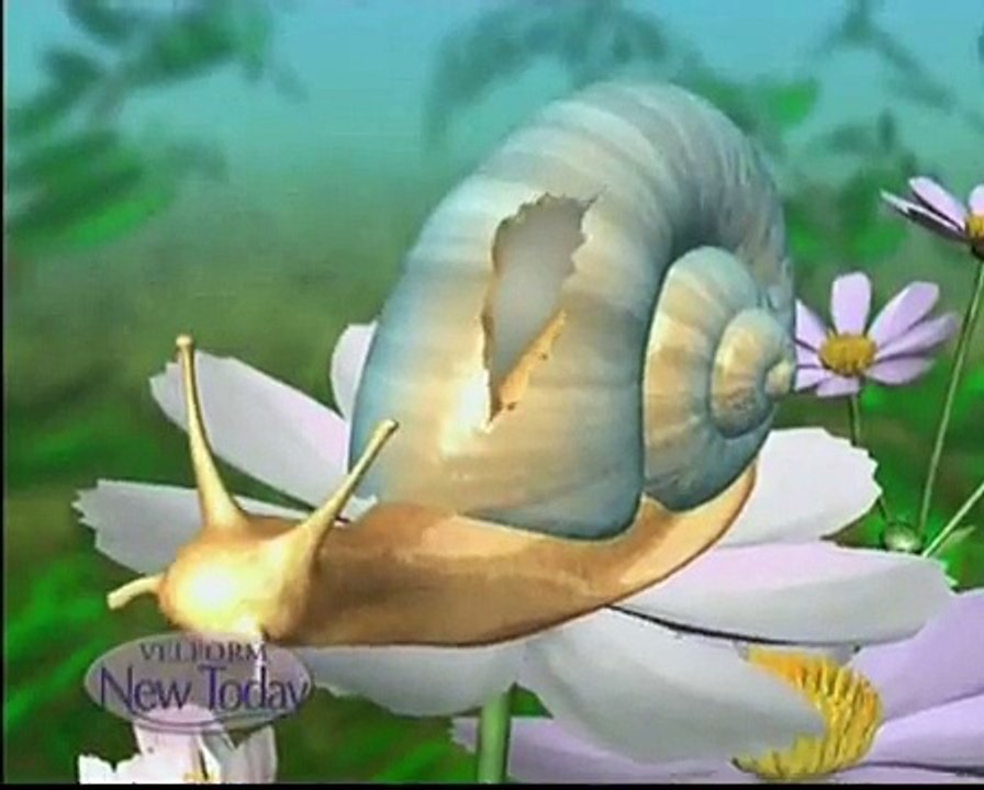 Liss Activ New Today Velform 39,90 Euros