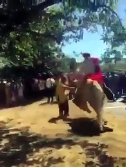 Viah te ghori ne munde diya cheeka kada tiyan