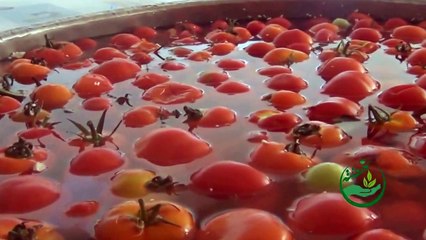 حملات الخير الرمضانية " بإشراف الشيخ إحسان العتيبي والشيخ وليد الحاتم حفظهما الله- نهضة 5