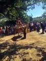 Horse Takes Off With Groom