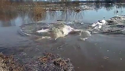 Whirlpool, Where will all this go!