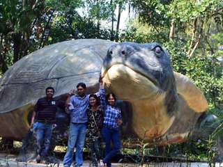 Safari Park - Open Zoo at Thailand
