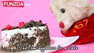 I Can Go Anywhere For A Cake, Funny Cake Song