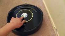 iRobot Roomba Vacuum Cleaner 650 Review & Cleaning Instructions