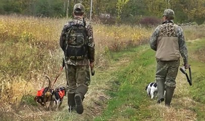 Köpekler Eşliğinde Yapılan Tavşan Avı