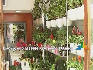 Καλή διάθεση για Κυριακάτικη βόλτα όχι... για ψώνια