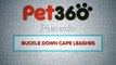 Pet360 Products: Buckle Down Cape Leashes and Collars