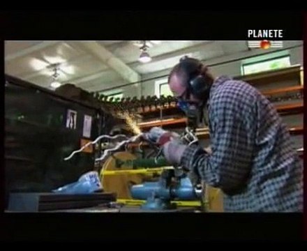 Tyrannosaure Rex charognard ou prédateur?