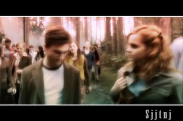 Little Wonders: Tiny Marvels