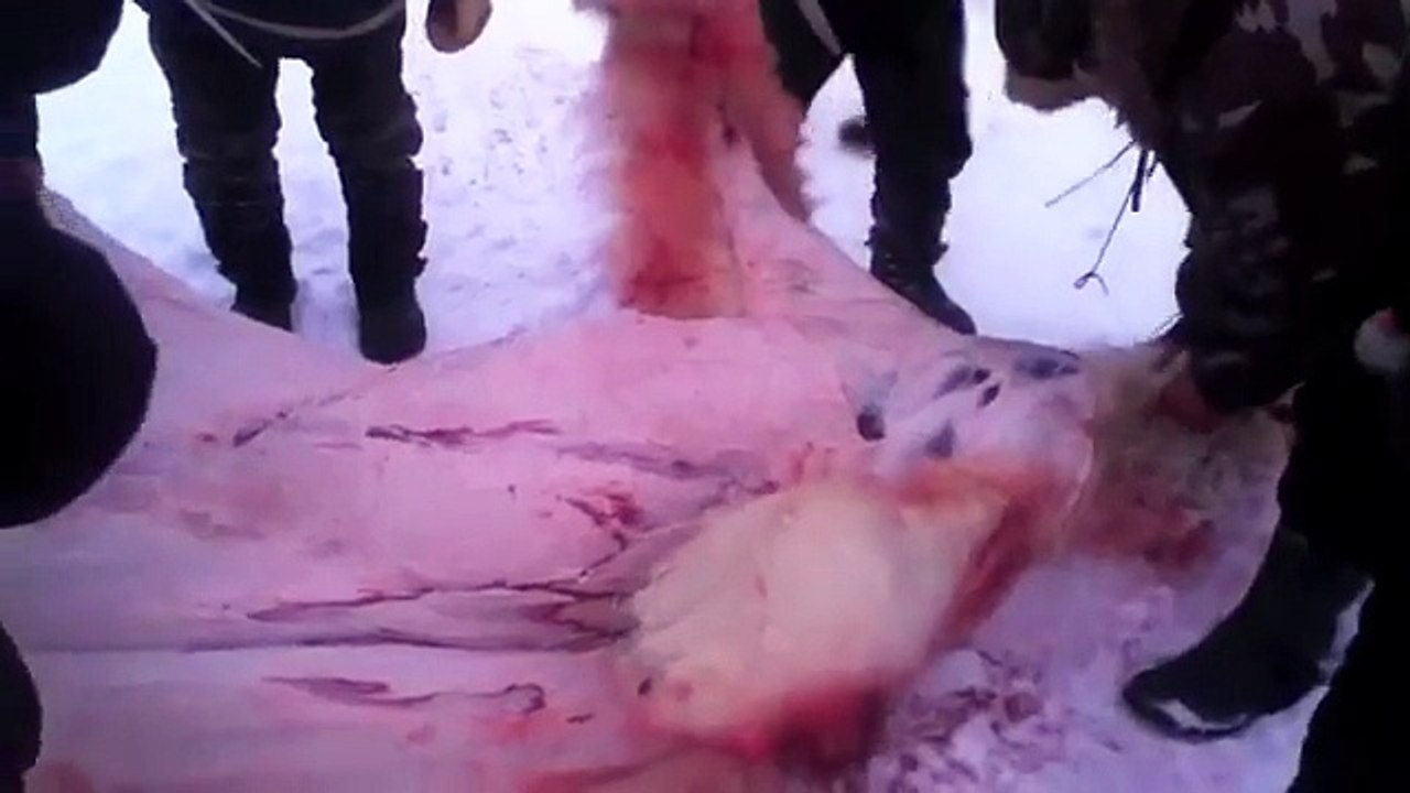 Cutting Up A Polar Bear