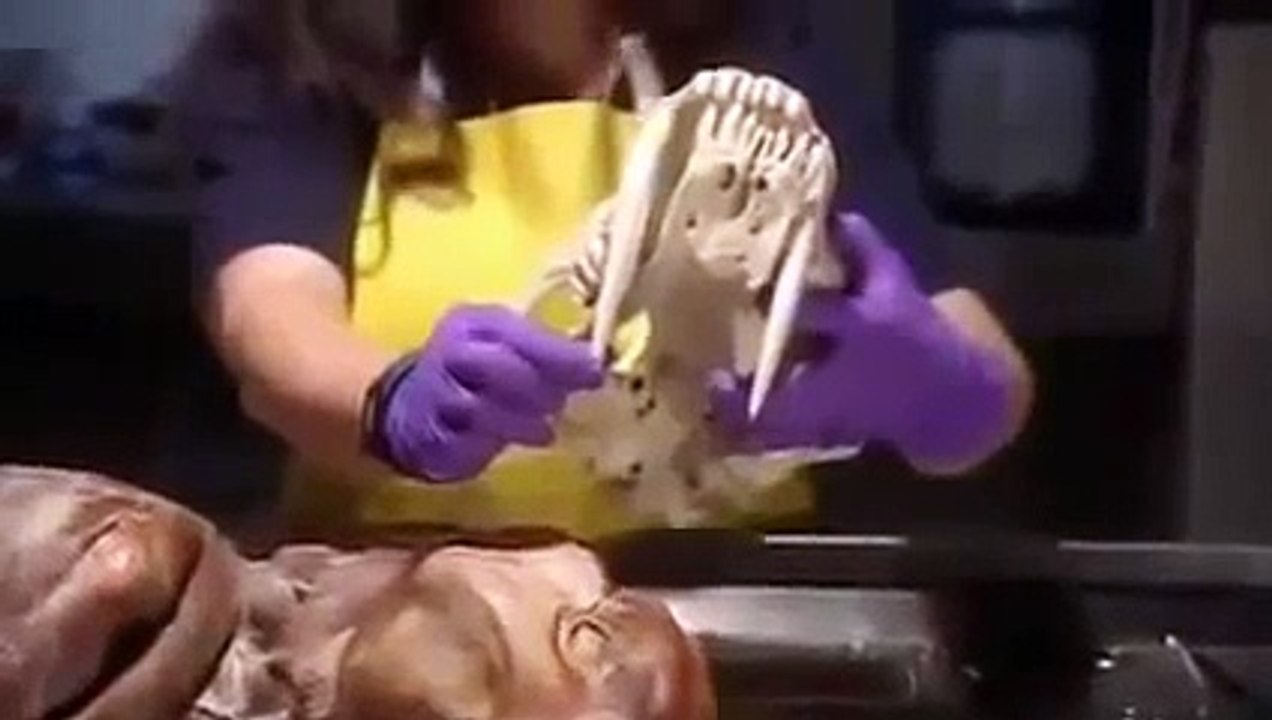 Extinction Smilodon, The Saber Toothed Tiger Nature & Animal Documentary