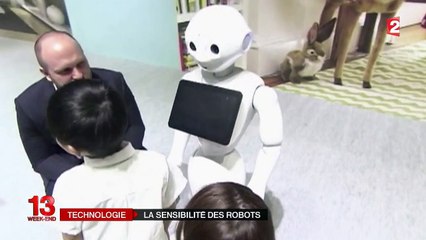 Descargar video: Les Japonais se sont arraché le robot humanoïde Pepper