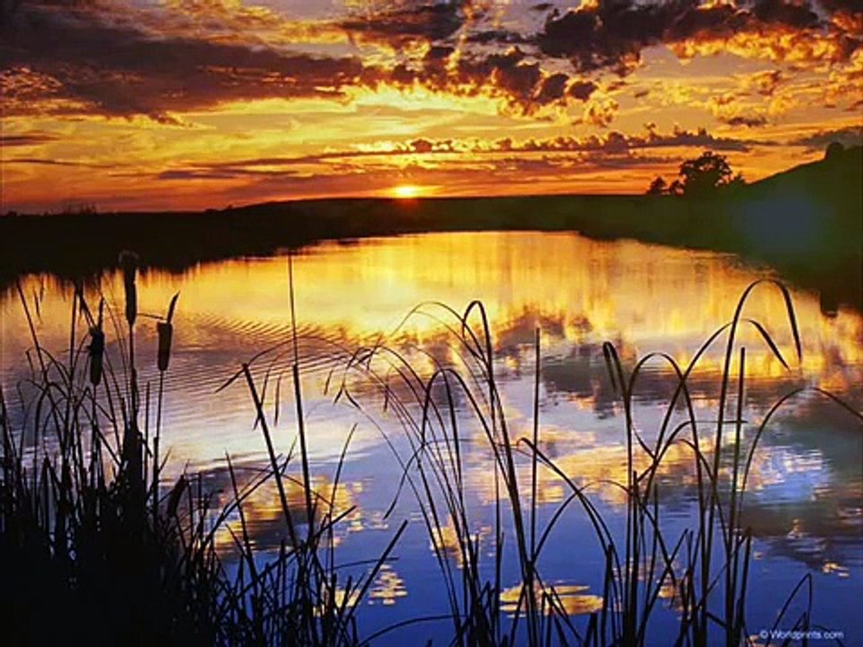 Texas - Summer Sun